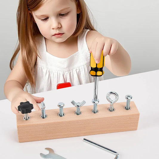 Kids Wooden Screw Nut Disassembly Toy
